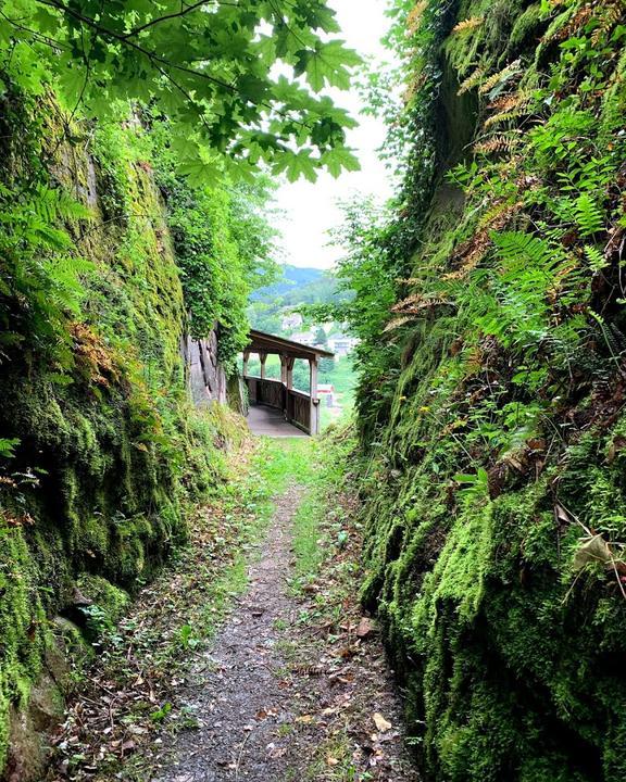 Gasthaus zum Tannhaeuser